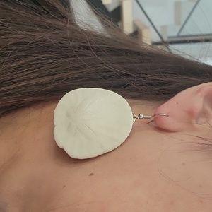 Real Sand Dollar Earrings